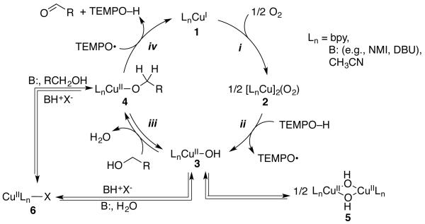 Scheme 3