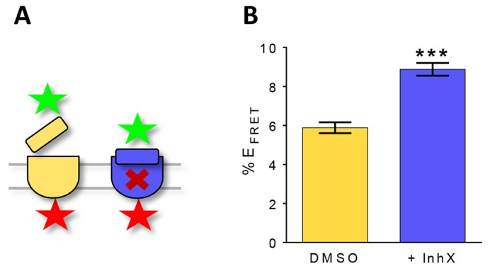 Fig. 5.