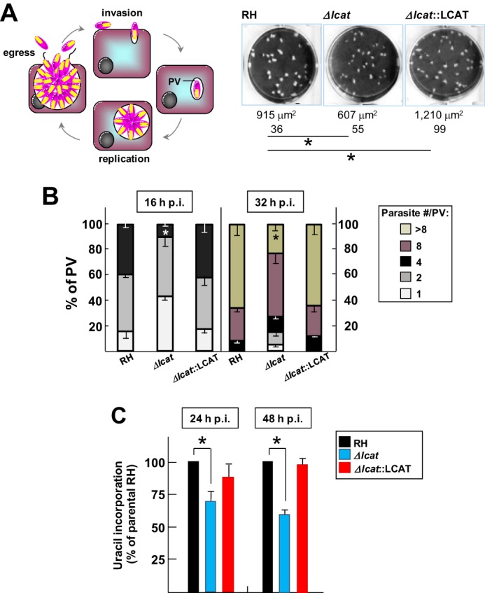 FIGURE 10.