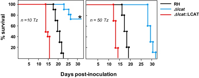 FIGURE 11.