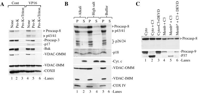 FIG. 5.