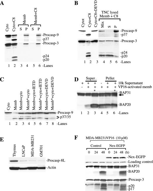 FIG. 7.