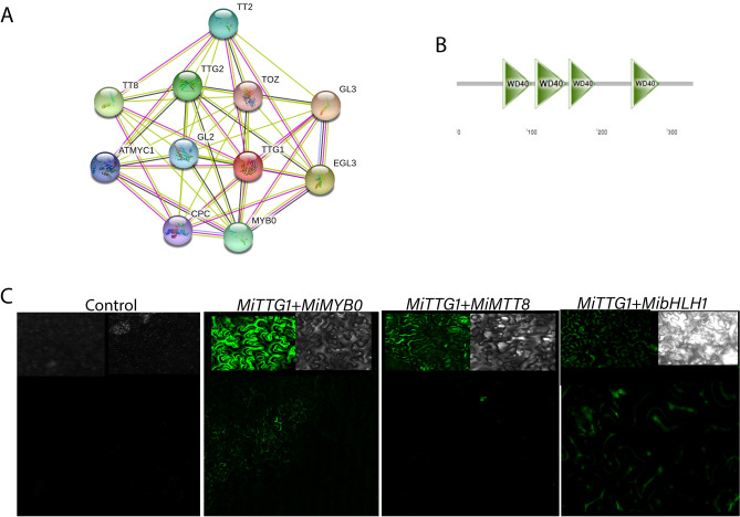 Figure 2