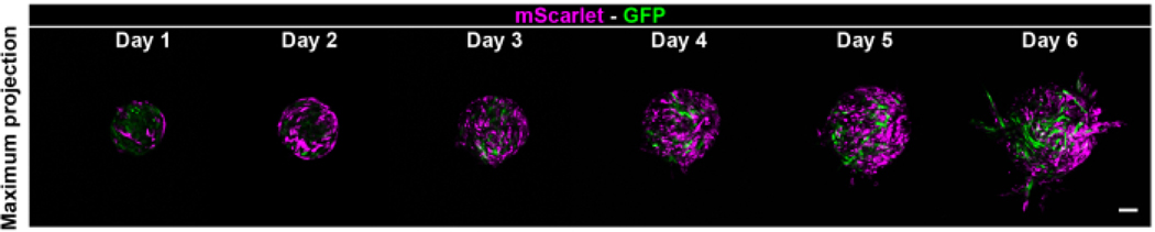 Figure 3: