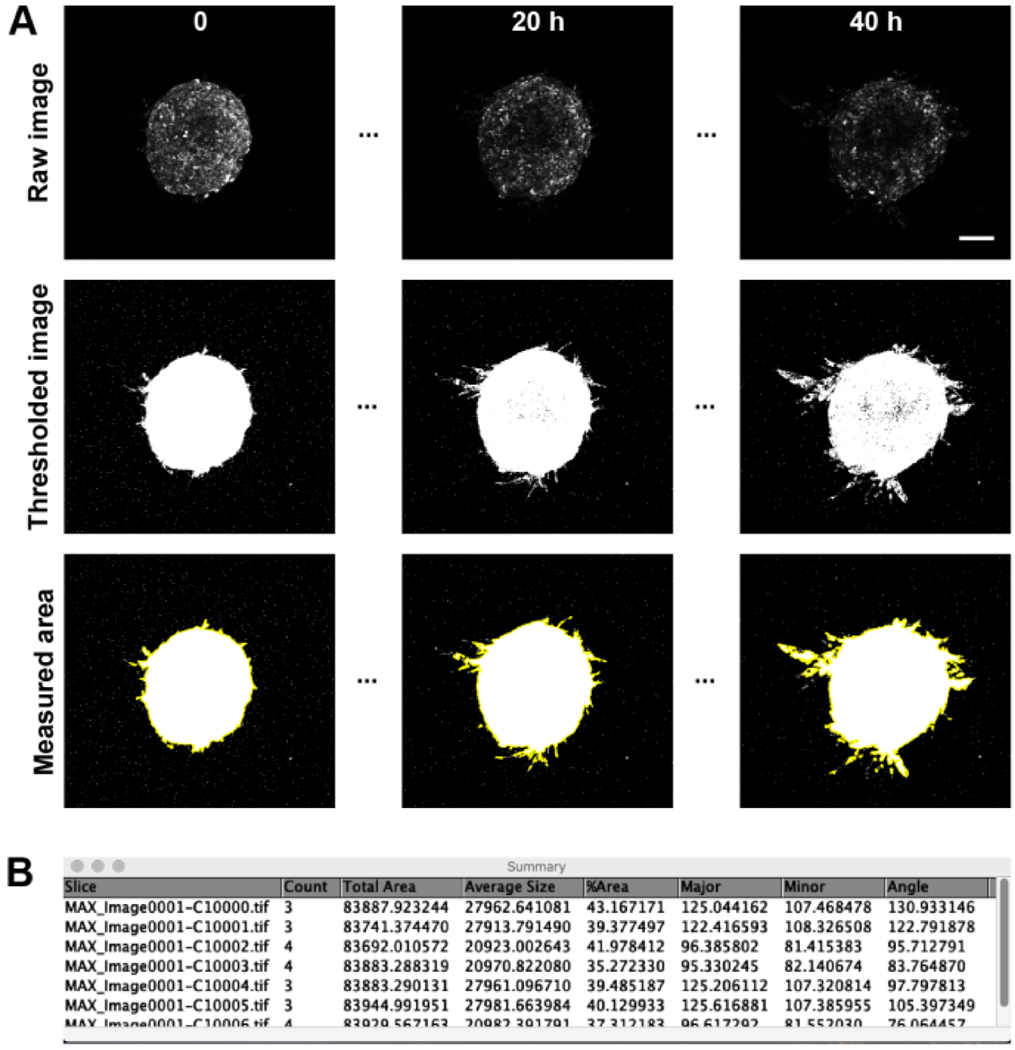 Figure 5: