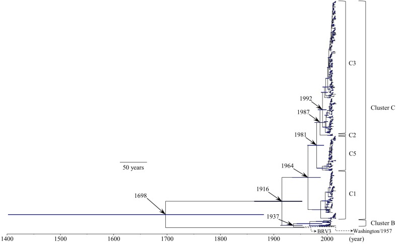 FIGURE 1