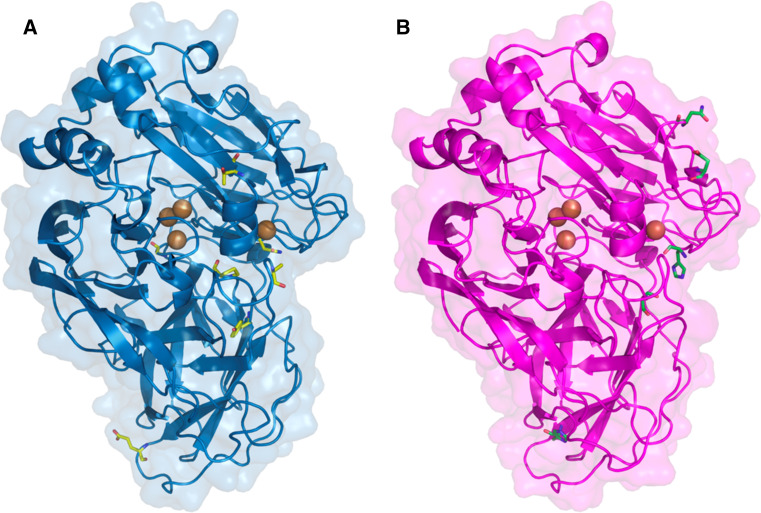 Fig. 4