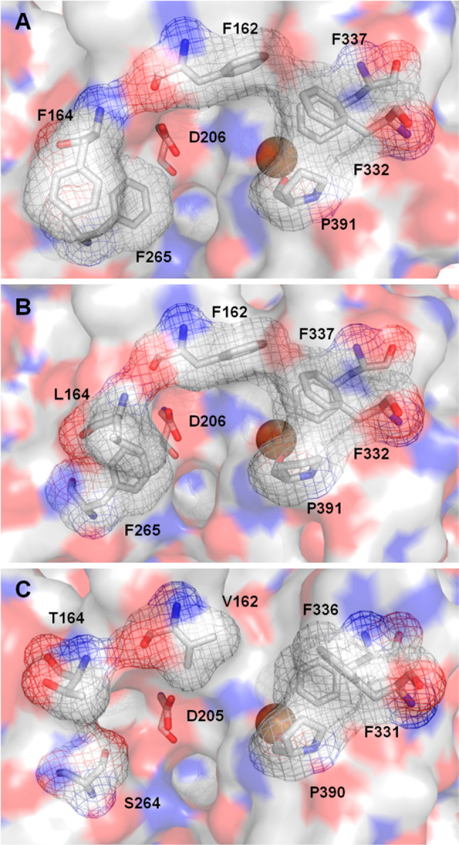 Fig. 3