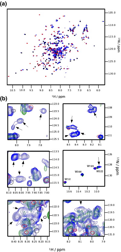 Fig. 8