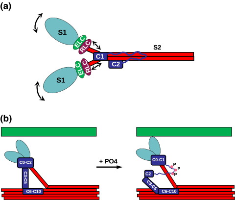 Fig. 9