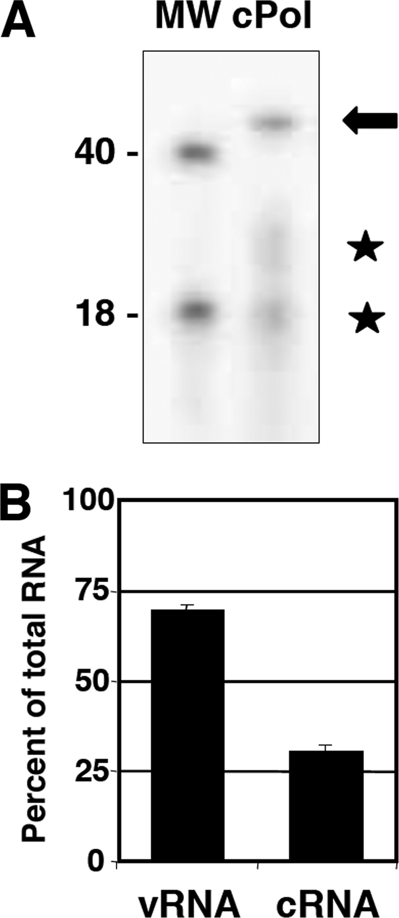 FIG. 6.