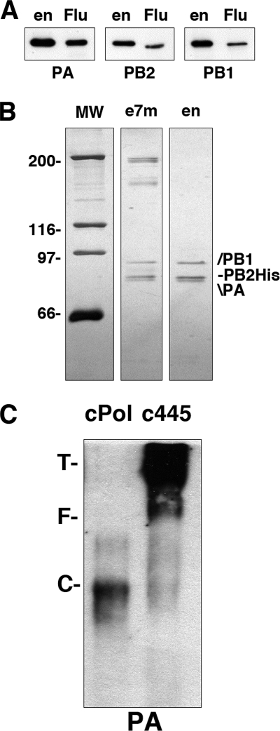 FIG. 5.