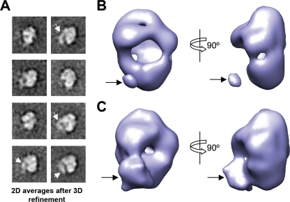 FIG. 9.