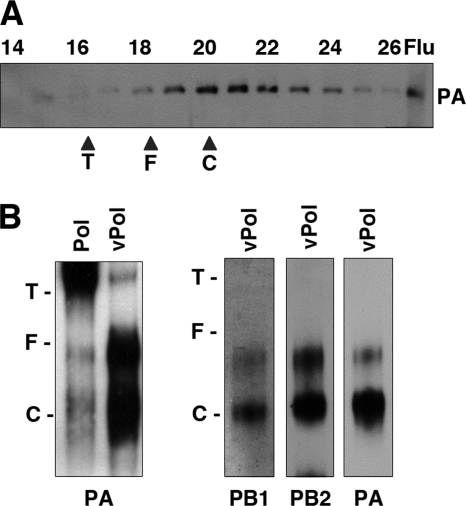 FIG. 3.