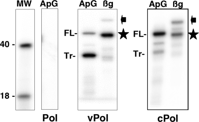 FIG. 7.