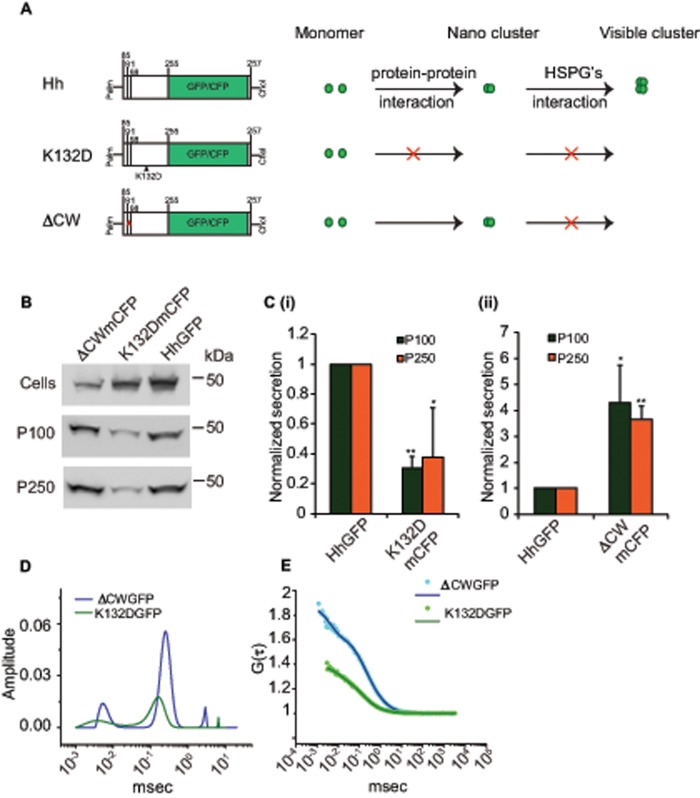 FIGURE 4: