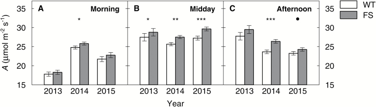 Fig. 3.