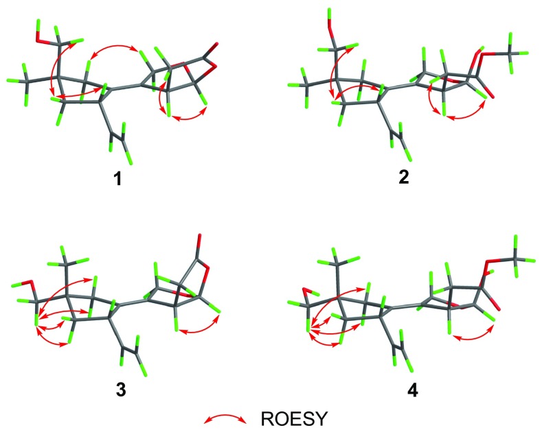 Fig. 3