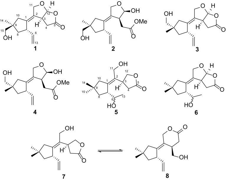 Fig. 1