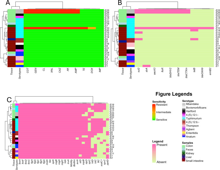 Heatmaps depict antimicrobial sensitivity across various serotypes and tissues, with resistant, intermediate, and sensitive categories; prevalence of AMR genes; and distribution of virulence genes. Serotype and sample type legends provided for clarity.