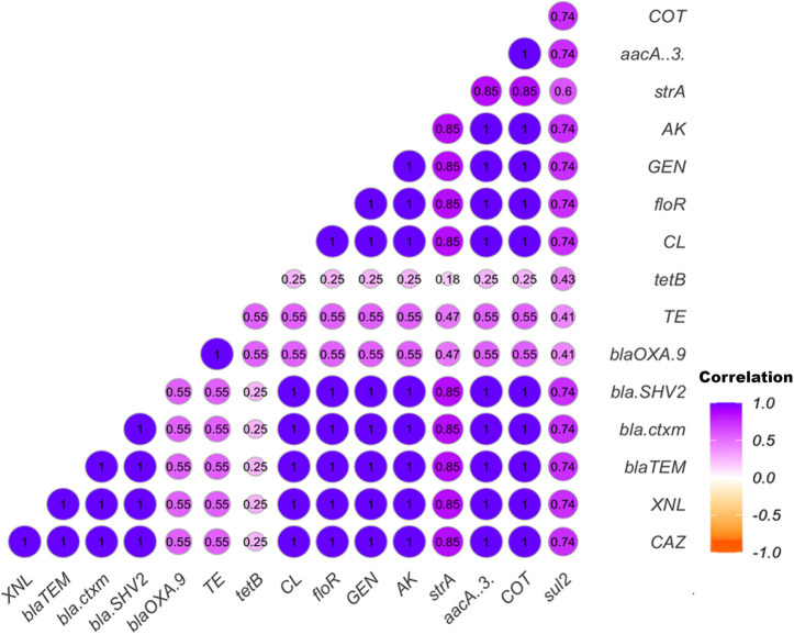 Correlation matrix depicts pairwise relationships between antimicrobial resistance genes and antibiotics. Circle sizes and colors represent correlation strength, ranging from -1 to 1, with numeric values indicating specific correlation coefficients.