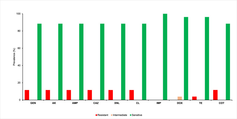 Bar chart depicts prevalence of bacterial resistance, sensitivity, and intermediate response to antibiotics. Most strains are sensitive across all antibiotics, with minor resistance to GEN, AK, AMP, CAZ, XNL, CL, DOX, TE, and COT.