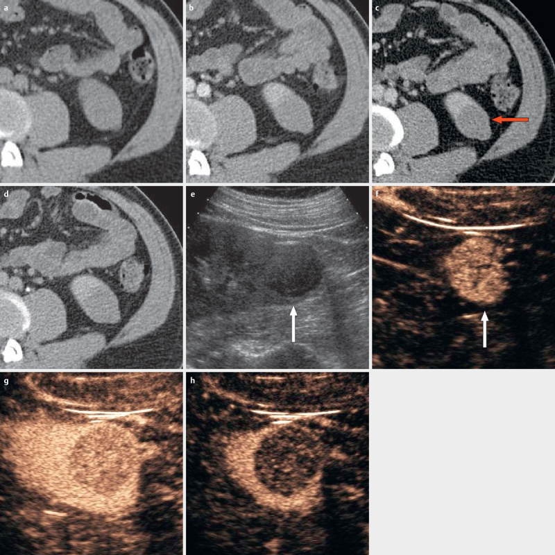 Fig. 8