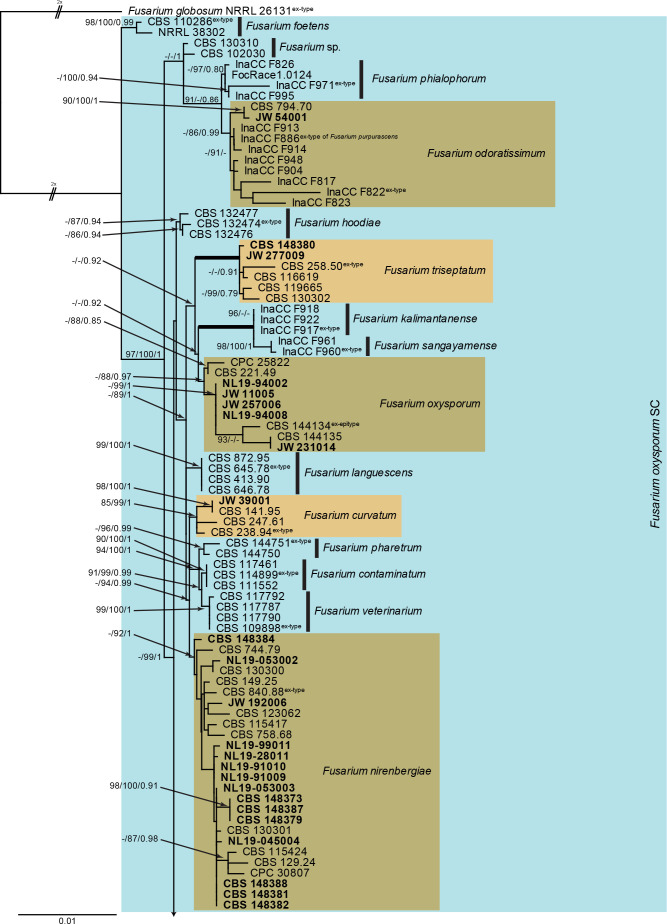 
Fig. 3.
