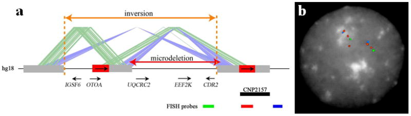 Fig. 2