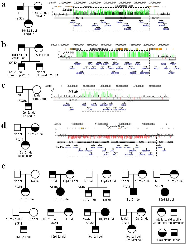 Fig. 4