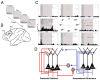 Box 1 Figure 1