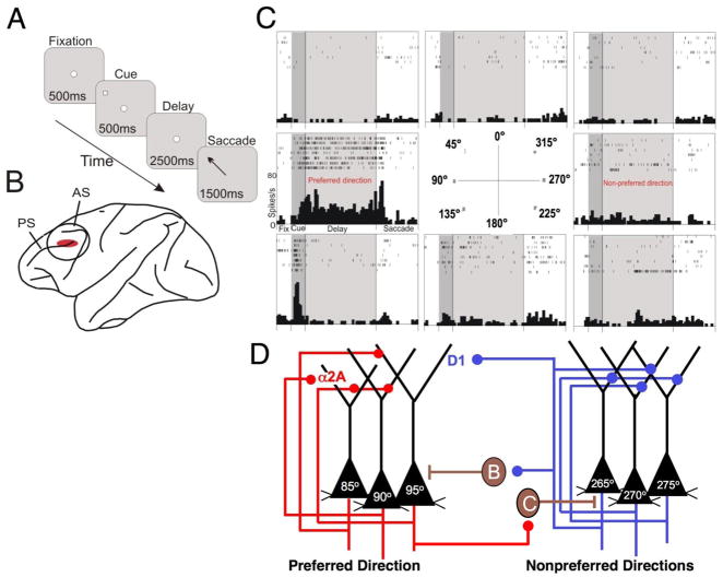 Box 1 Figure 1