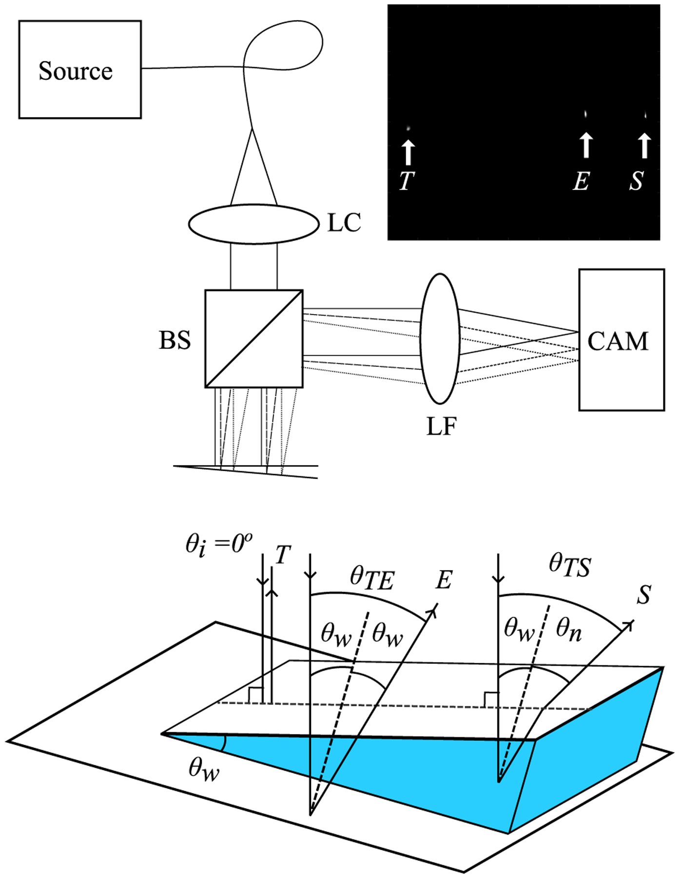 Fig. 1.