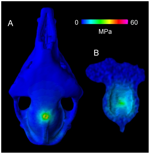 Figure 19