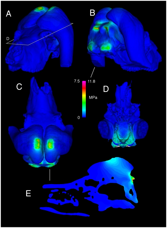 Figure 16