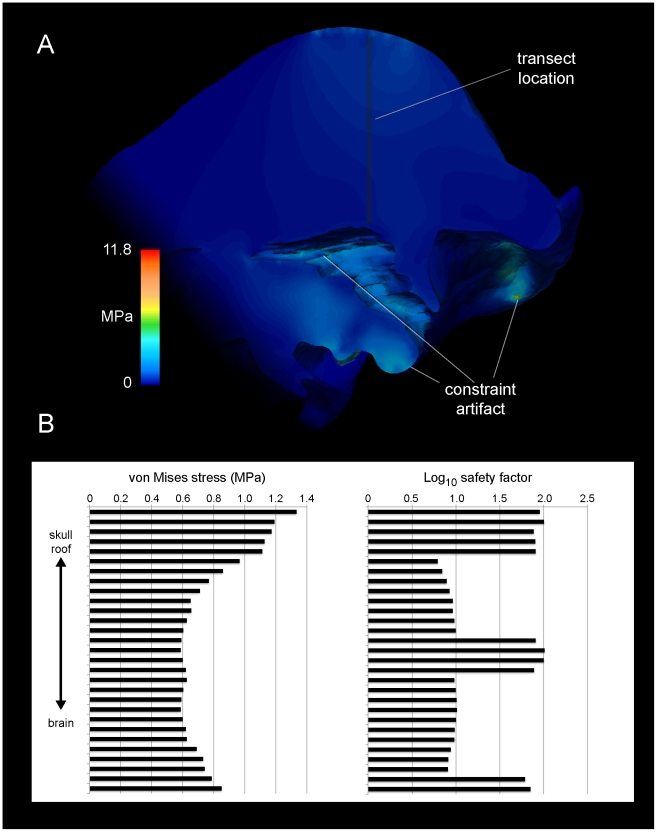 Figure 12