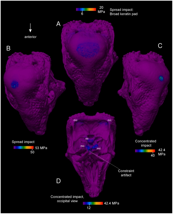 Figure 13