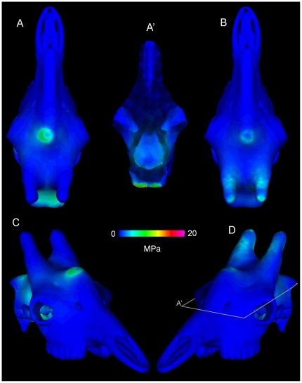 Figure 17