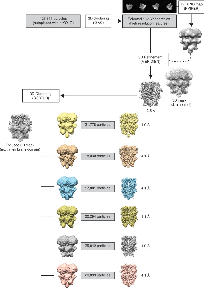 Figure 2—figure supplement 3.