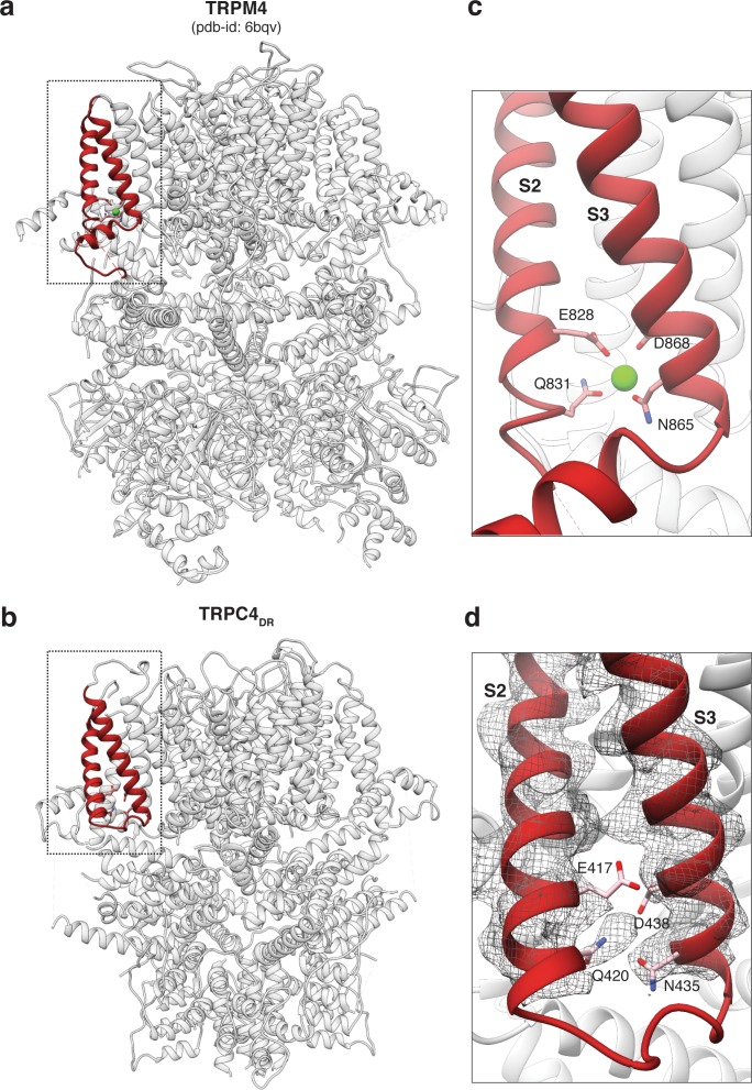 Figure 2—figure supplement 4.