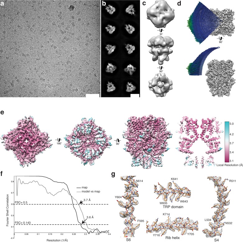 Figure 2—figure supplement 2.