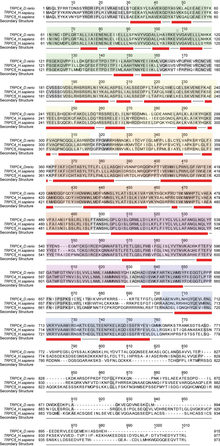 Figure 1—figure supplement 1.