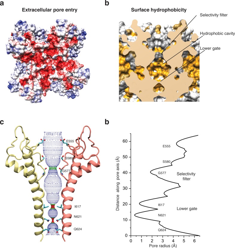 Figure 5.