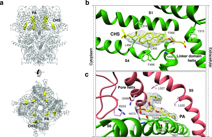 Figure 4.