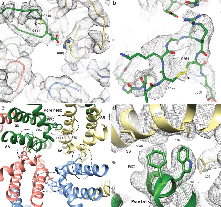 Figure 2—figure supplement 5.