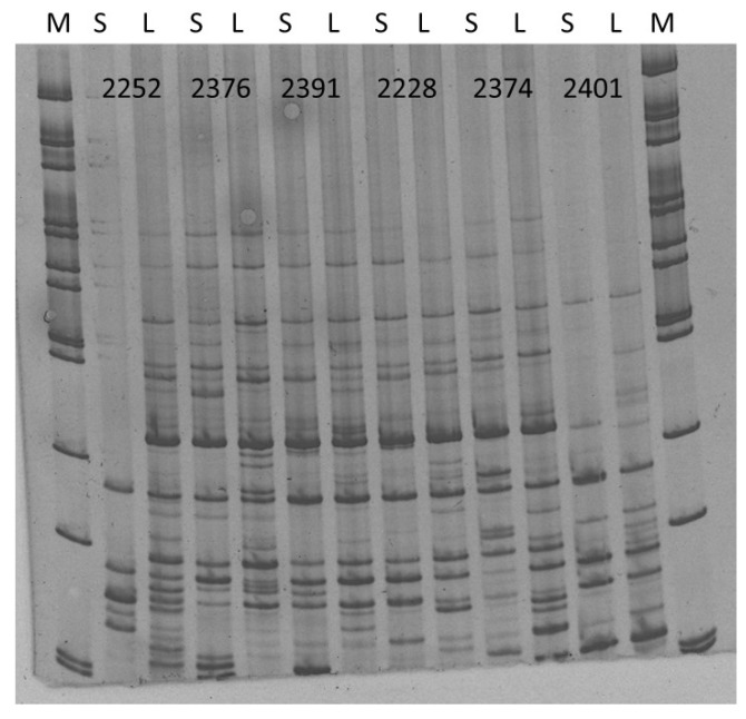 Figure 7