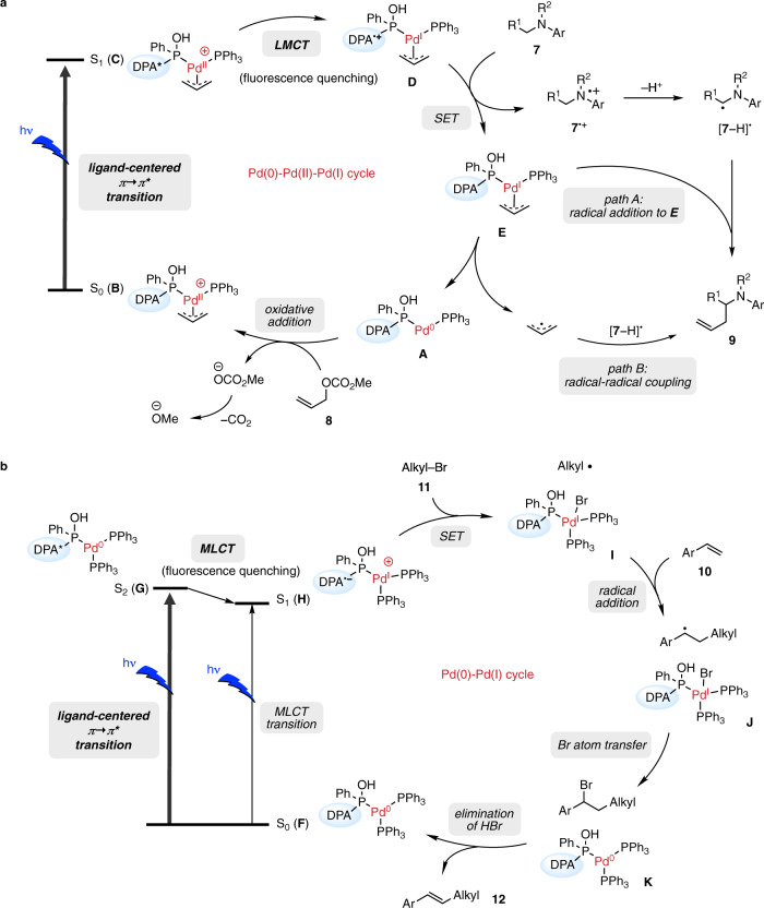 Fig. 6