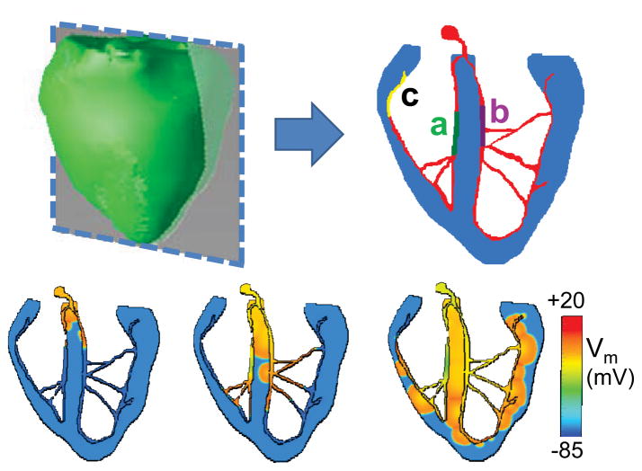 Fig. 2