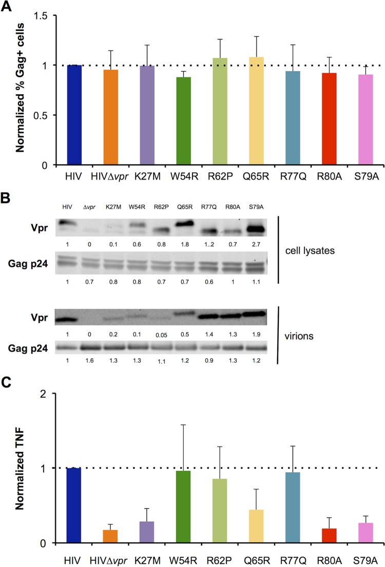 FIG 3