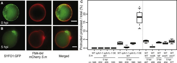 Figure 3